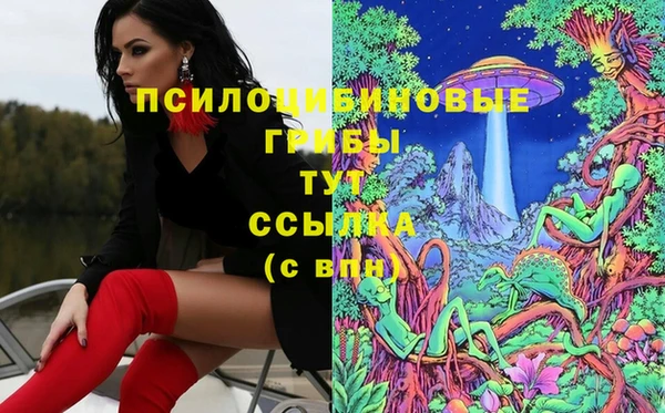 метадон Алзамай